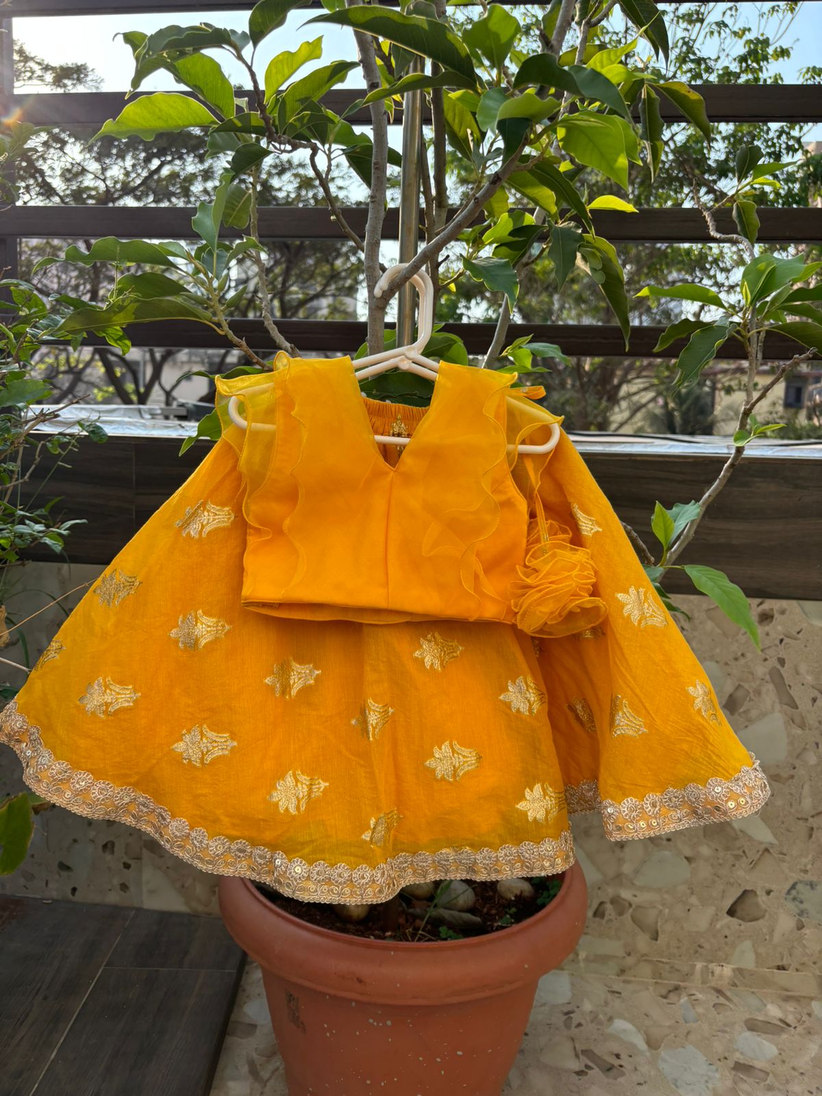 Gorgeous mango yellow organza lehenga set