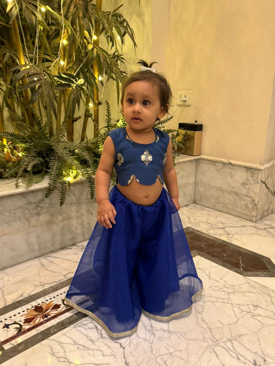 Royal blue benarasi crop top and palazzo set