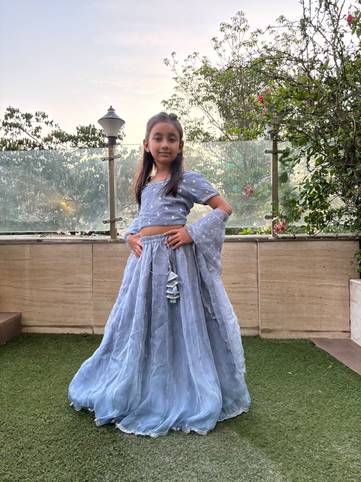Elsa georgette lehenga set