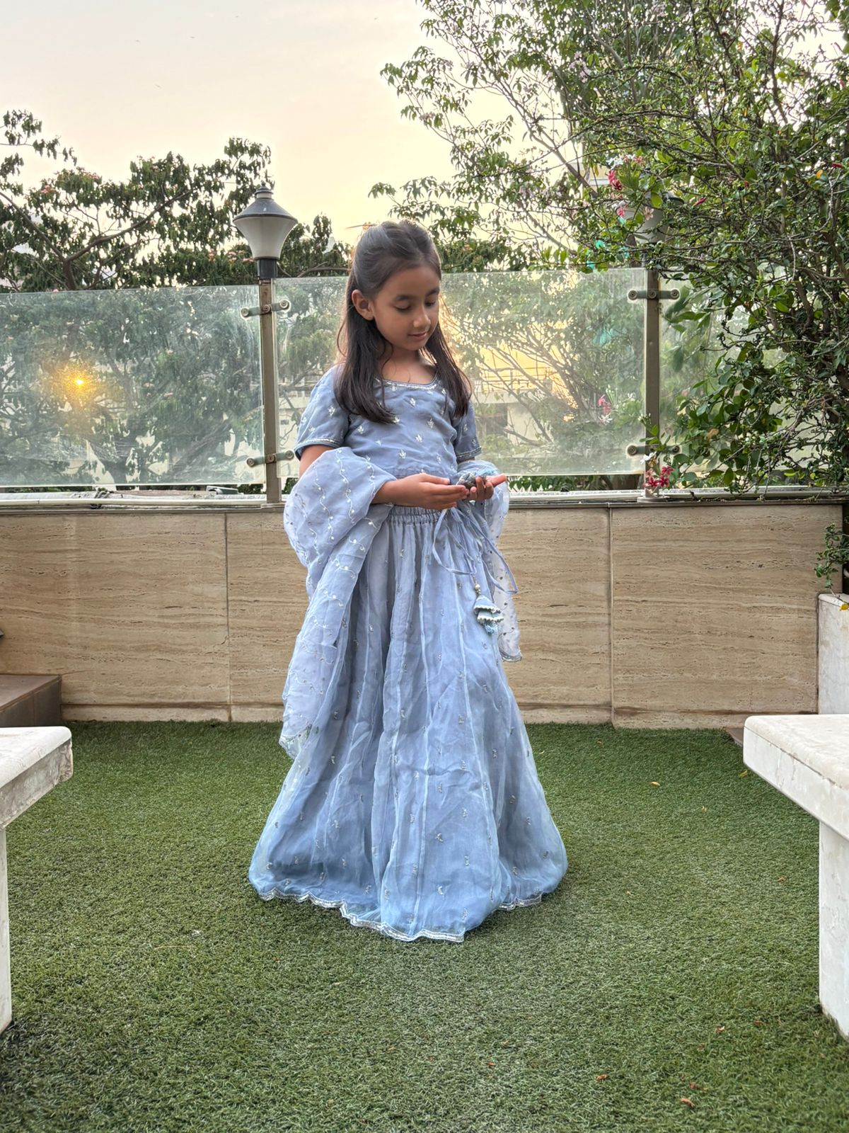 Elsa georgette lehenga set