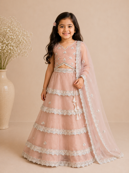 Peach organza lehenga set