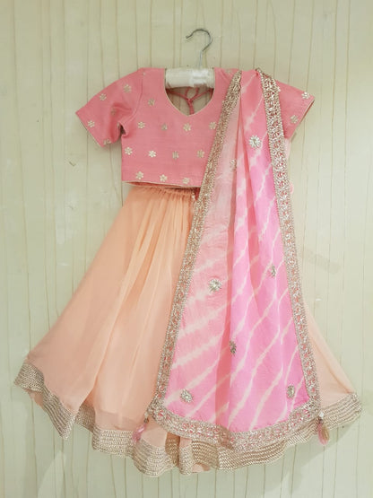 Shades of pink lehenga set
