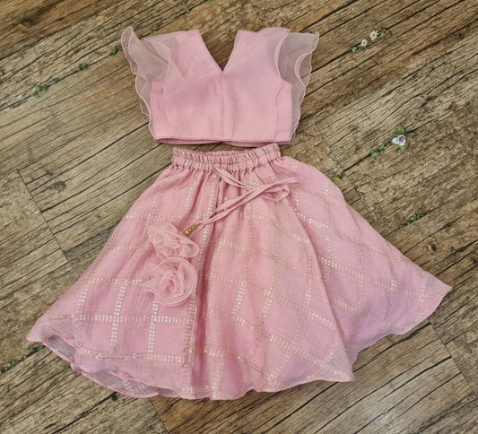 Salmon pink lehenga set