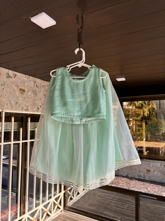 Sky blue sequins  crop top and palazzo set