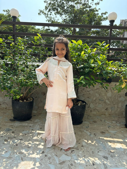 Dreamy baby pink sharara set