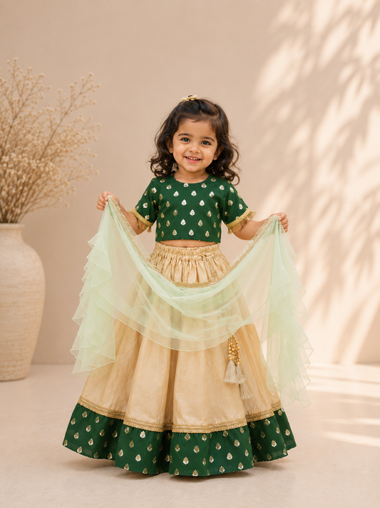Bottle green benarasi lehenga set