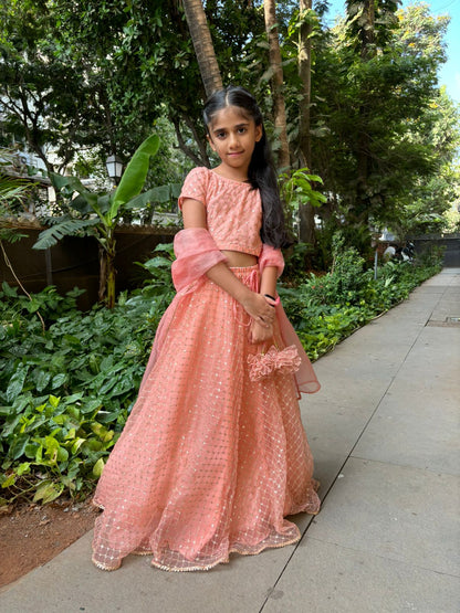 Pretty peach organza lehenga set