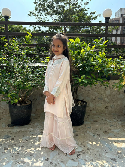Dreamy baby pink sharara set