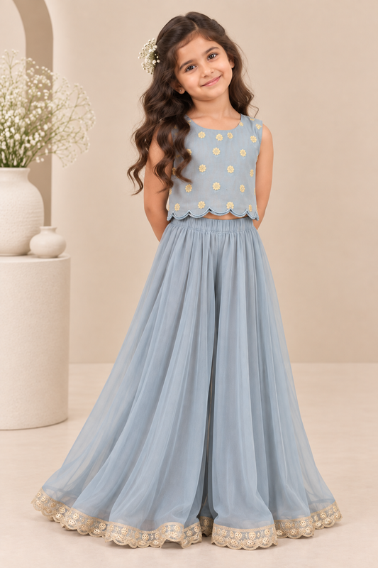 Greyish blue benarasi crop top and palazzo set